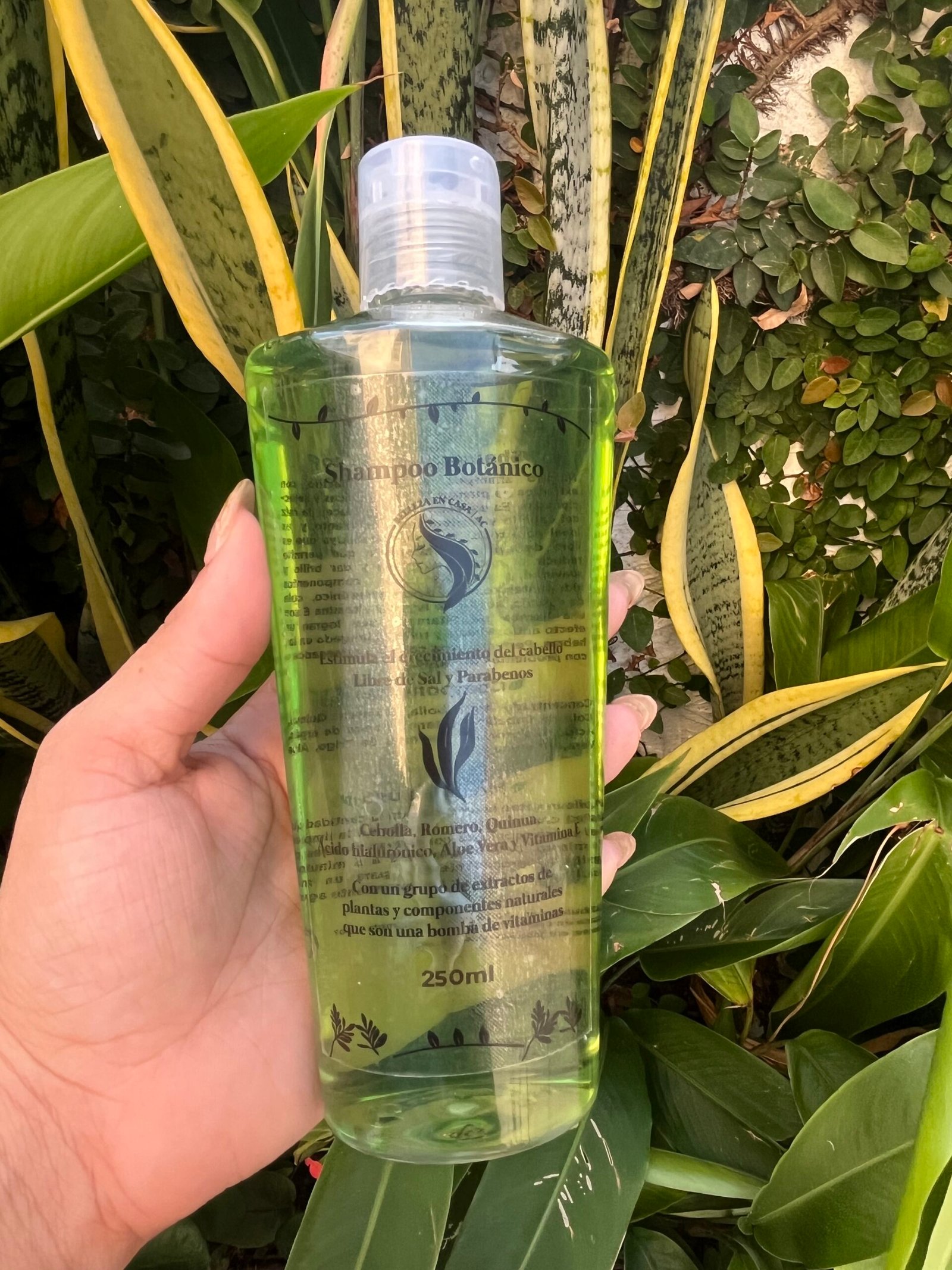 SHAMPOO BOTÁNICO